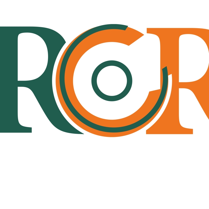 huisstijl ontwikkeling