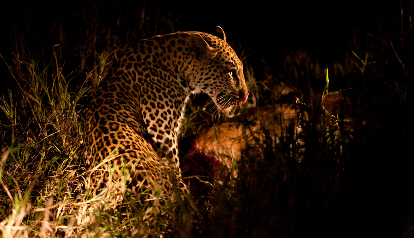 Impressie ZZIE Vorm & Beeld