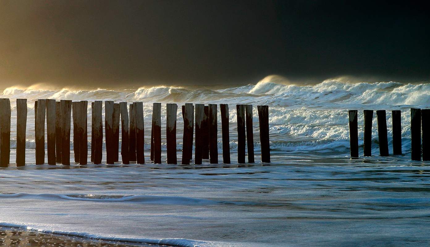 Impressie ZZIE Vorm & Beeld