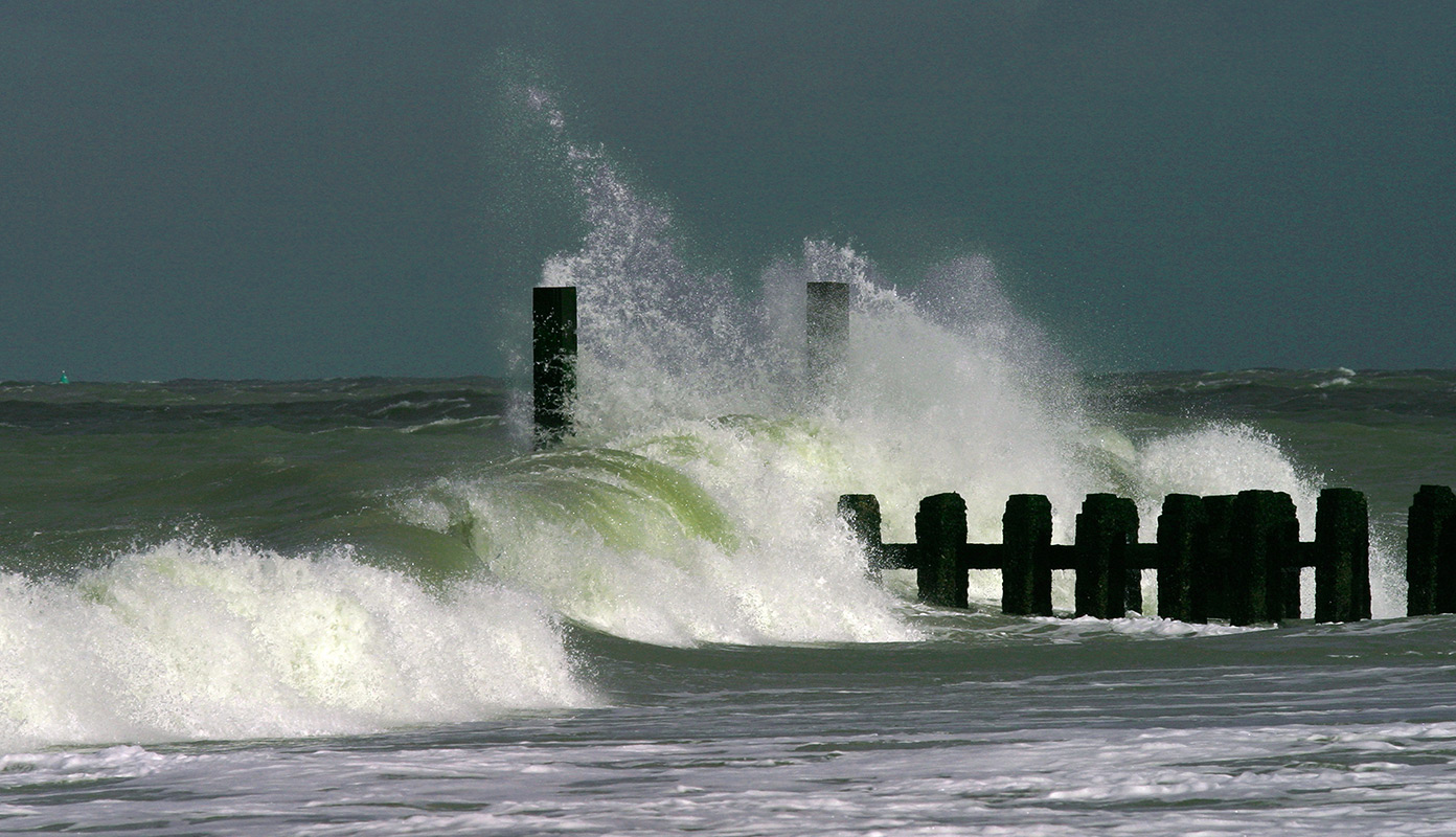 Impressie ZZIE Vorm & Beeld
